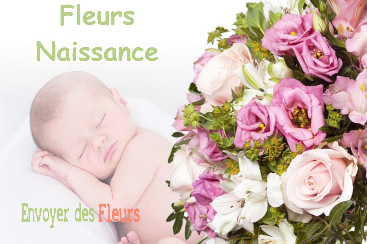 lIVRAISON FLEURS NAISSANCE à BELLEGARDE-SAINTE-MARIE